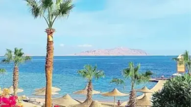 1575012 780x470 1 مصر تنجز 50 مشروعًا ضمن «جرين شرم» باستثمارات تقارب 20 مليون دولار