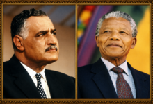 ChatGPT Image 3 يونيو 2026، 07 47 33 م السفير دكتور محمد حجازي يكتب : جنوب أفريقيا والقاهرة… مناهضة الفصل العنصري وبناء التضامن الدولي