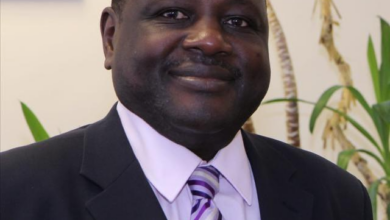 Dr. Mohammad Jibrin Ngala الدكتور محمد جبرين نجالا يكتب : تحويلات المغتربين والتنمية الإفريقية (2015–2025): عقد من التأثير التحولي