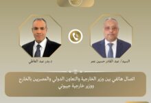 IMG 20260614 WA0002 وزيرا خارجية مصر وجيبوتي يبحثان تطورات الأوضاع في منطقة القرن الأفريقي 
