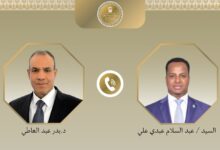 اتصال هاتفي بين الدكتور بدر عبد العاطي وزير الخارجية المصري ونظيره الصومالي مصر تؤكد دعمها لـ الصومال .. والقاهرة تشدد علي أهمية الحفاظ علي أمن واستقرار مقديشو