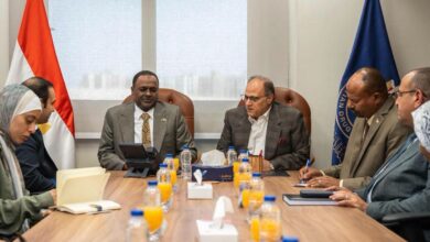 FB IMG 1783610764013 مصر والسودان تبحثان تعزيز التعاون المشترك في مجال الدواء