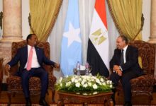 WhatsApp Image 2026 07 19 at 1.58.24 PM تحركات مصر في القرن الأفريقي.. لماذا تكثف القاهرة جهودها لتعزيز الأمن الإقليمي وحماية البحر الأحمر ودعم وحدة الصومال؟