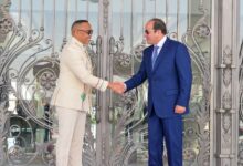 لقاء الرئيس عبد الفتاح السيسي ورئيس مدغشقر السيسي: نعتز بدور القطاع الخاص في مدغشقر ومستعدون لنقل التجربة التنموية المصرية الشاملة