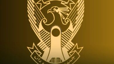 الجيش السوداني يصد هجومًا واسعًا على « جبرة الشيخ » ويكبد مليشيا الدعم السريع خسائر فادحة 7 FB IMG 1786635663779 الجيش السوداني يصد هجومًا واسعًا على « جبرة الشيخ » ويكبد مليشيا الدعم السريع خسائر فادحة