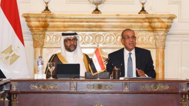IMG 20260817 WA0008 وزير الخارجية يبحث سبل دعم الشركات المصرية في التوسع بالأسواق الأفريقية