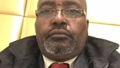 نسخة من البوم 2026 08 08T234817.940 المحلل السياسي التشادي الدكتور محمد شريف جاكو يكتب : العلاقات المصرية التشادية.. جذور تاريخية وآفاق واعدة للتعاون في المستقبل