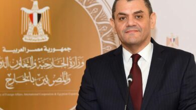 FB IMG 1790624992632 الخارجية المصرية: احترام سيادة الدول وسلامة أراضيها وعدم التدخل في شؤونها ثوابت راسخة للسياسة الخارجية لمصر