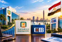 file 000000005180820a8ea09f122ee08f8c البنك الأهلي المصري وCIB يتصدران قائمة أقوى 10 علامات تجارية في مصر.. الأهلي يتصدر بقيمة 717 مليون دولار