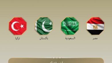 842034723 1064645523056224 8448320519264911274 n بيان مصري وباكستاني وتركي وسعودي يدين الهجمات العدائية المستمرة لميليشيا الحوثي ضد المملكة