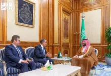 F11061187 وزير الخارجية ورئيس جهاز المخابرات العامة يسلمان رسالة خطية من الرئيس إلى خادم الحرمين الشريفين
