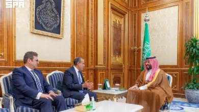 F11061187 وزير الخارجية ورئيس جهاز المخابرات العامة يسلمان رسالة خطية من الرئيس إلى خادم الحرمين الشريفين