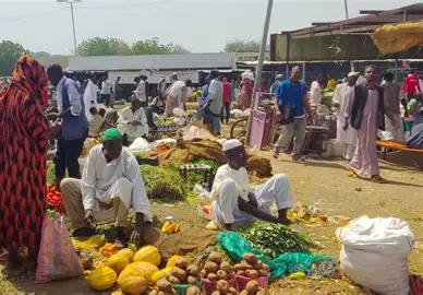 السودان يقرر إعفاء مدخلات الإنتاج الصناعي و44 سلعة من الرسوم والضرائب لتخفيف أعباء المعيشة 1 download 2 السودان يقرر إعفاء مدخلات الإنتاج الصناعي و44 سلعة من الرسوم والضرائب لتخفيف أعباء المعيشة