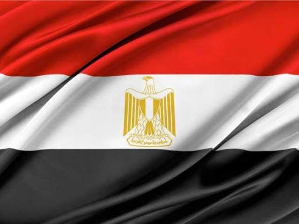 الخارجية المصرية تستدعي القائم بالأعمال الكولومبي بالقاهرة 1 علم مصر الخارجية المصرية تستدعي القائم بالأعمال الكولومبي بالقاهرة