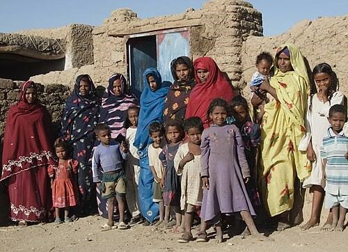 قبائل السودان العربية 4  “العرب السودانيين” ليسوا أحفادًا خالصين لمهاجرين من جزيرة العرب بل مجموعات محلية من وادي النيل