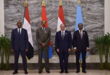 قمة رؤساء مصر والسودان وإريتريا والصومال قادة مصر والسودان وإريتريا والصومال يؤكدون أهمية احترام القانون الدولي المنظم للأنهار الدولية العابرة للحدود