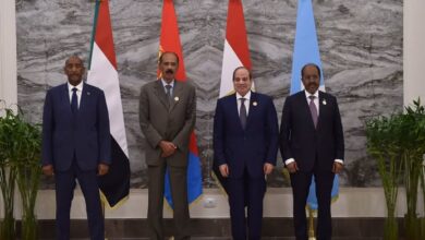 قمة رؤساء مصر والسودان وإريتريا والصومال قادة مصر والسودان وإريتريا والصومال يؤكدون أهمية احترام القانون الدولي المنظم للأنهار الدولية العابرة للحدود